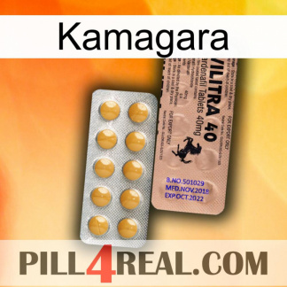Kamagara 41